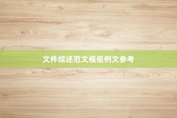 文件综述范文模板例文参考