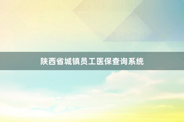 陕西省城镇员工医保查询系统