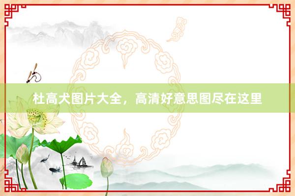 杜高犬图片大全，高清好意思图尽在这里